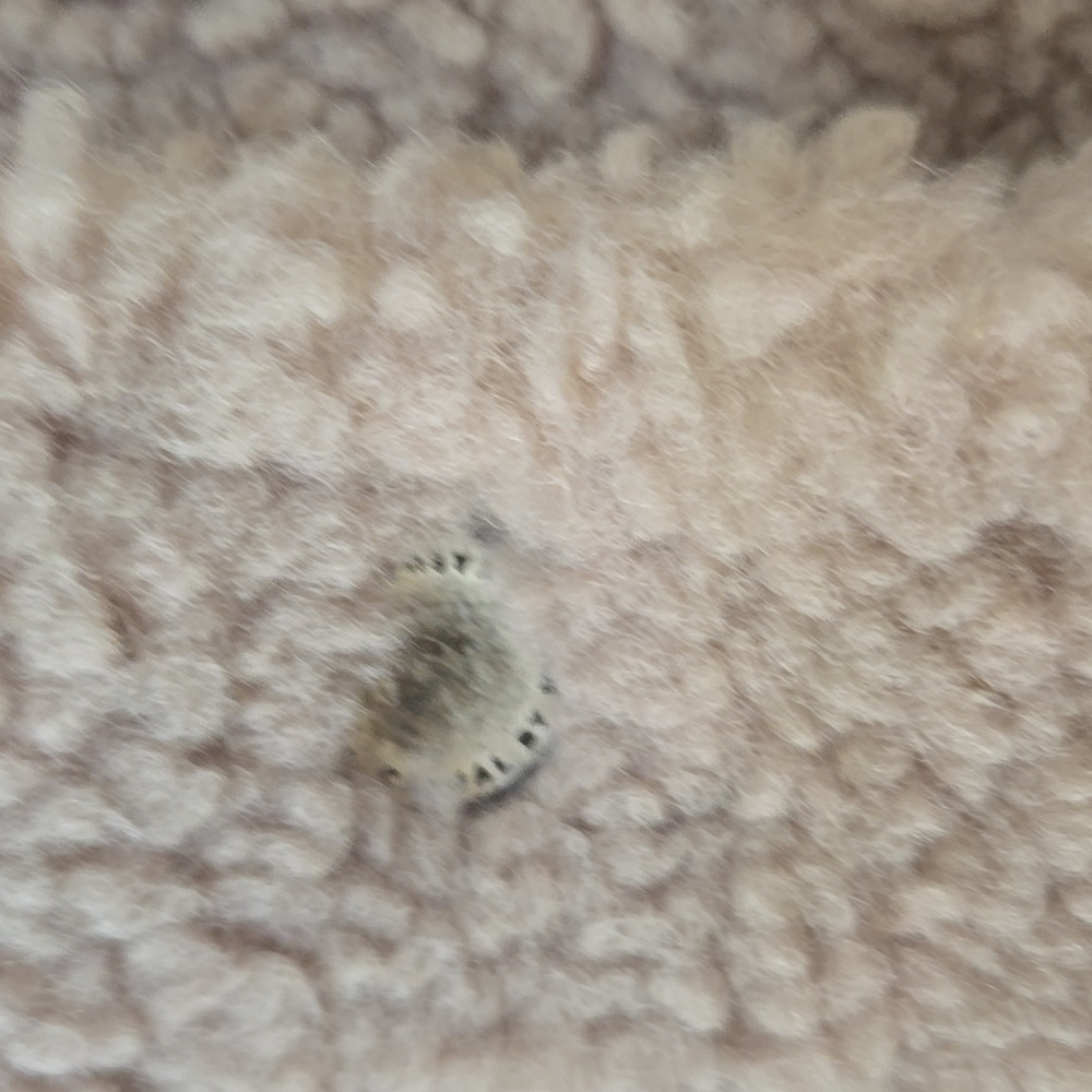 Mango MNG Casual Cozy Tan Sherpa Button Down Teddy Bear Jacket - Picture 4 of 11
